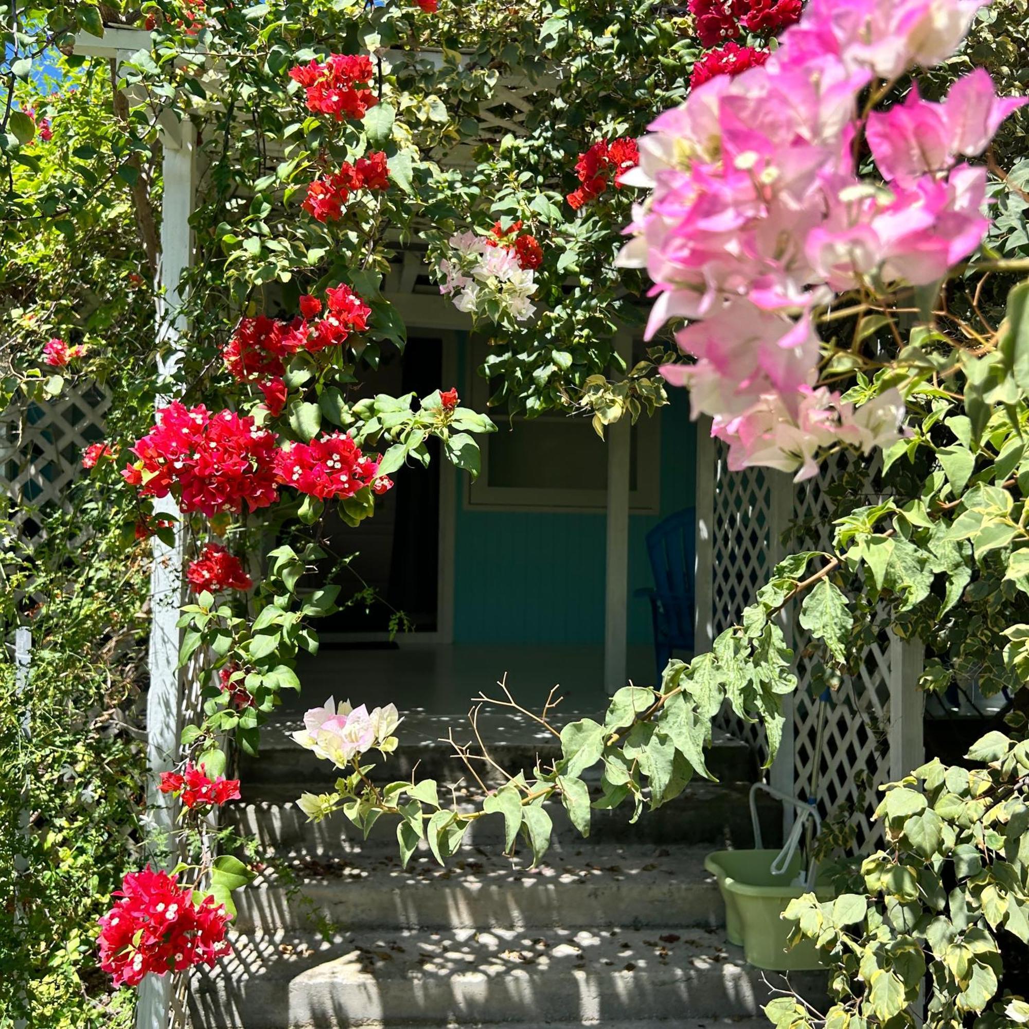 Bed and Breakfast Le Fare Eco Tiputa Esterno foto
